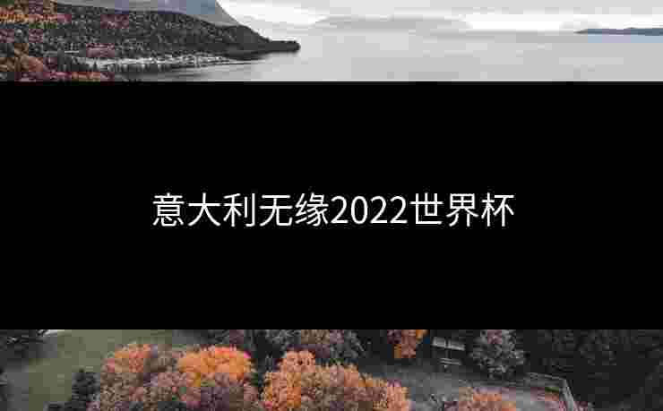 意大利无缘2022世界杯