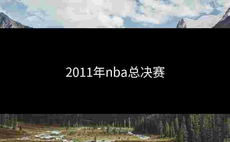 2011年nba总决赛